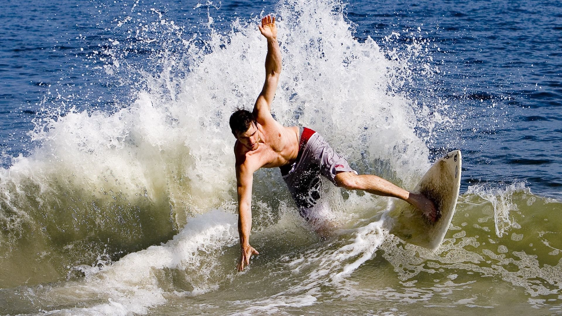 开云体育登录-深圳队火力压制森林狼，当CBA的狼性遇见真正的狼